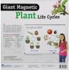 image:imageLearning Resources Giant Magnetic Plant Life Cycle  STEM Growing Seed Montessori Tree  Biology Cards Classroom Teacher Must Haves Activities Science Homeschool Essentials Gifts for Students