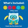 image:imageLearning Resources Hoot the Fine Motor Owl  6 Pieces Ages 18 Months Toddler Toys Fine Motor and Sensory for Kids