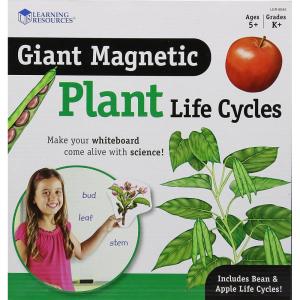 image:imageLearning Resources Giant Magnetic Plant Life Cycle  STEM Growing Seed Montessori Tree  Biology Cards Classroom Teacher Must Haves Activities Science Homeschool Essentials Gifts for Students