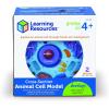 image:imageLearning Resources CrossSection Animal Cell Model  STEM Biology Gifts Molecular Science Activities  Microbiology Classroom and Teacher Must Haves Homeschool Materials Model Kit Tools