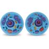 image:imageLearning Resources CrossSection Animal Cell Model  STEM Biology Gifts Molecular Science Activities  Microbiology Classroom and Teacher Must Haves Homeschool Materials Model Kit Tools