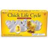 image:imageLearning Resources Chick Life Cycle Exploration Set  21 Pieces Ages 5 Science Exploration Toys for Kids Kindergartner Activities Chicken Toys