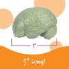 image:imageLearning Resources Crosssection Brain Model  2 Pieces Ages 7 Brain Anatomy Model Brain Functions Model Human Anatomy for Kids Foam Brain ModelBack to School Supplies