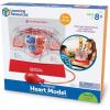 image:imageLearning Resources Pumping Heart Model  Science Classroom Must Haves STEM Student Essentials Practice Anatomy Cardiology Artery and Veins Study Tools Back to School Supplies for Teachers