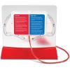 image:imageLearning Resources Pumping Heart Model  Science Classroom Must Haves STEM Student Essentials Practice Anatomy Cardiology Artery and Veins Study Tools Back to School Supplies for Teachers