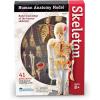 image:imageLearning Resources Skeleton Model Science Classroom Must Haves STEM Student Essentials Practice Anatomy Back to School Supplies for Teachers