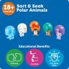 image:imageLearning Resources Sort amp Seek Polar Animals  15 Pieces Age 18 Months Toddler Learning Activities Educational Toys Educational Toy Set Color Teaching Toys