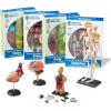 image:imageLearning Resources Anatomy Models Bundle Set  Skeleton and Physiology Human Body Model  Science Classroom Must Haves Biology Teacher Supplies Interactive Homeschool Projects MontessoriBundle Set