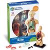 image:imageLearning Resources Human Body Model Science Classroom Demonstration Tools Realistic Human Anatomy Display 31 Pieces Grades 3 Ages 8