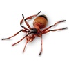 image:imageLearning Resources Jumbo Insects  Animal Toys for Kids Toddler Preschool Science Fine Motor Skills Gifts for Boys and Girls Ages 3