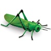 image:imageLearning Resources Jumbo Insects  Animal Toys for Kids Toddler Preschool Science Fine Motor Skills Gifts for Boys and Girls Ages 3