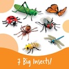 image:imageLearning Resources Jumbo Insects  Animal Toys for Kids Toddler Preschool Science Fine Motor Skills Gifts for Boys and Girls Ages 3