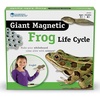 image:imageLearning Resources Giant Magnetic Frog Life Cycle